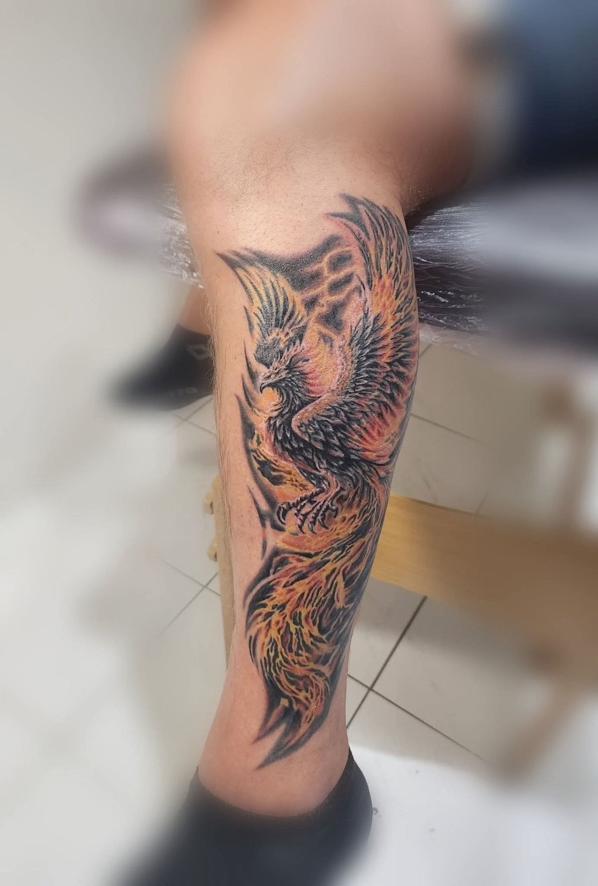 Phoenix réaliste Full couleur