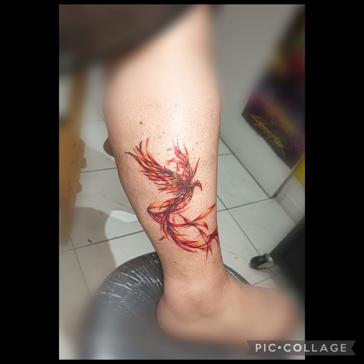 Tatouage Phœnix Full color
