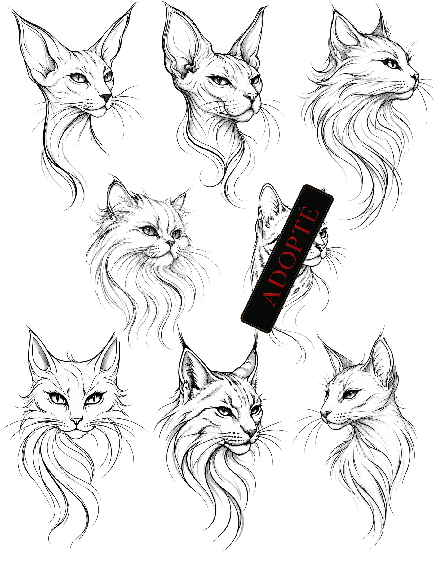 Chats graphiques — flashs disponibles