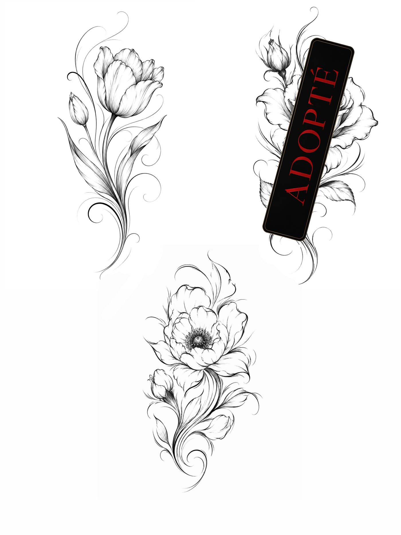Flashs fleurs — trait fin