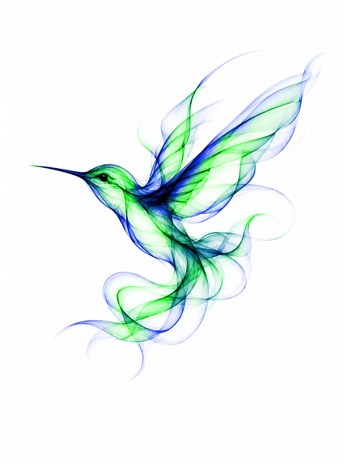 Colibri en fumée bleue et verte